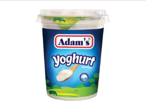 ADAM-S YOGHURT 400G