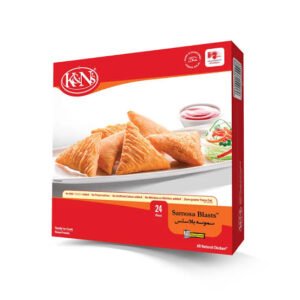 K&NS SAMOSA BLASTS 24PCS
