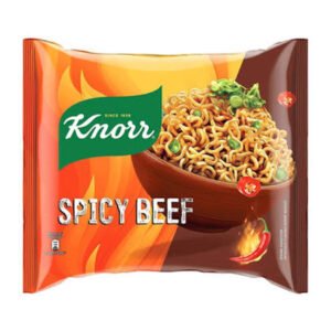 KNORR SPICY BEEF 110.5G